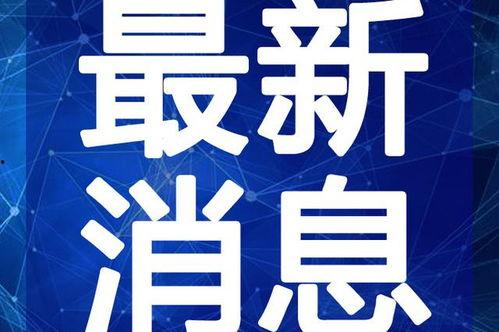 文安吃瓜最新消息新闻视频,最新热点新闻视频深度解析