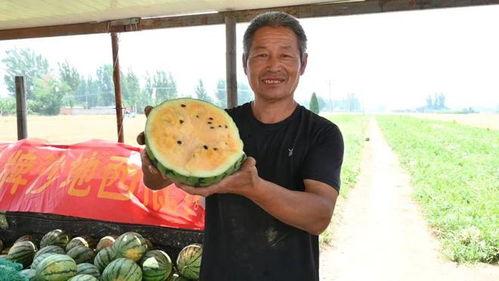 西昌近期的吃瓜事件视频,一场网络热议背后的真相揭秘