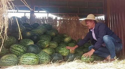 昆明某网红吃瓜视频最新,揭秘幕后真相，带你领略网红圈风云