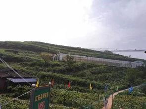 句容香溪湾吃瓜事件视频,一场网络热议的真相揭秘