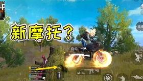 刀塔霸气吃瓜视频下载