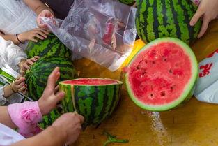 吃瓜甜视频,带你领略网络短视频的魅力