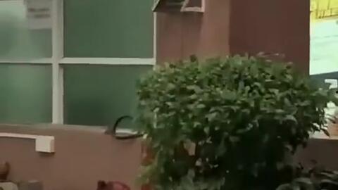 温江吃瓜新闻事件真相视频,真相视频曝光背后的真相