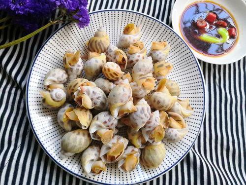 扇贝能配哈密瓜吃吗视频,营养美味两不误