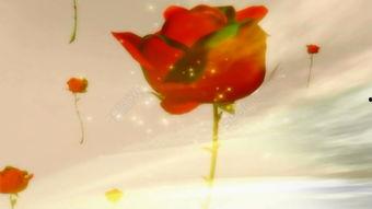 吃玫瑰瓜的视频素材下载,视频素材中的甜蜜诱惑