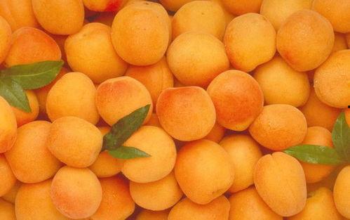 夏天吃啥哈密瓜好呢视频,清凉解暑的甜蜜选择