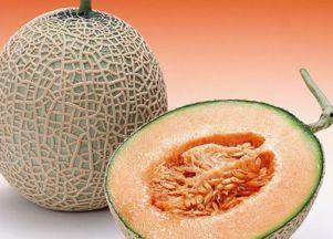 小盆友吃哈密瓜好吗视频,甜蜜滋味开启健康生活之旅