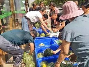 胶州幼儿园吃瓜事件视频,幼儿被喂食不明瓜果引发关注