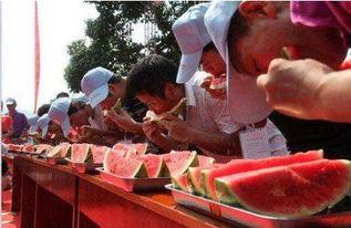 中国吃瓜比赛视频,舌尖上的欢乐盛宴