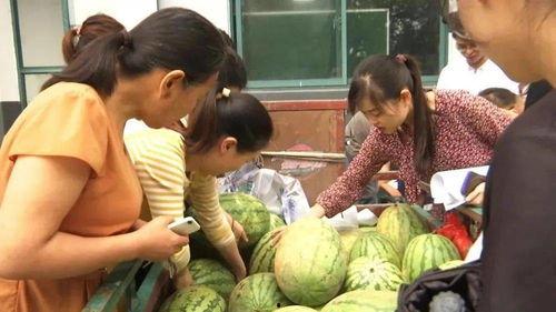 村里人吃瓜视频,揭秘乡村生活趣味瞬间