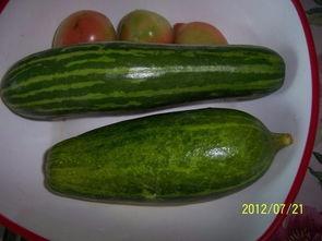 江西吉安最新吃瓜视频,揭秘江西吉安街头奇闻轶事