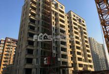 莱芜泰禾嘉园吃瓜视频,揭秘社区生活百态