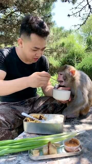 小猴吃瓜结局视频