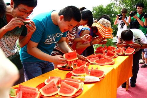 吃瓜大赛视频模板幼儿园,萌娃趣味互动，欢乐满园