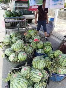 合肥地产吃瓜事件真相视频,揭开背后惊人内幕