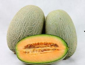 湖北人吃哈密瓜视频播放