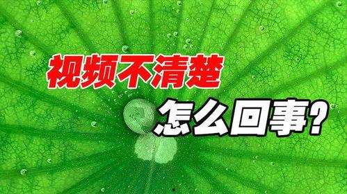 吃瓜的视频深意怎么写文案
