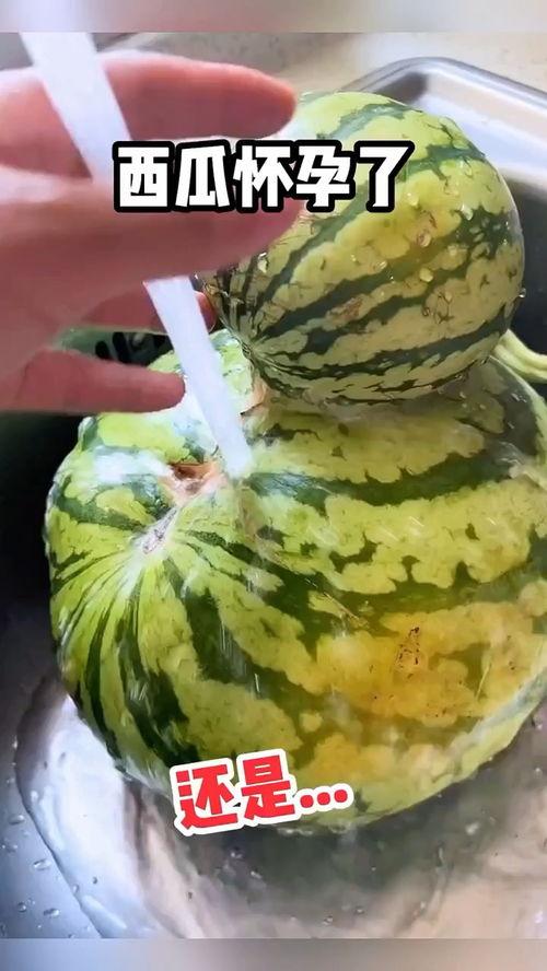 搞笑吃瓜配音视频,带你领略欢乐无限